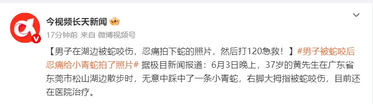 蛇出没!江西人注意,拍照能救命 蛇出没!江西人注意,拍照能救命