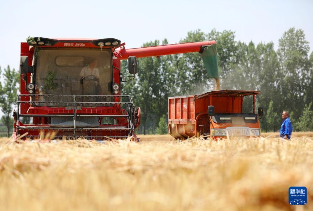 时雨及芒种 四野皆插秧 时雨及芒种 四野皆插秧
