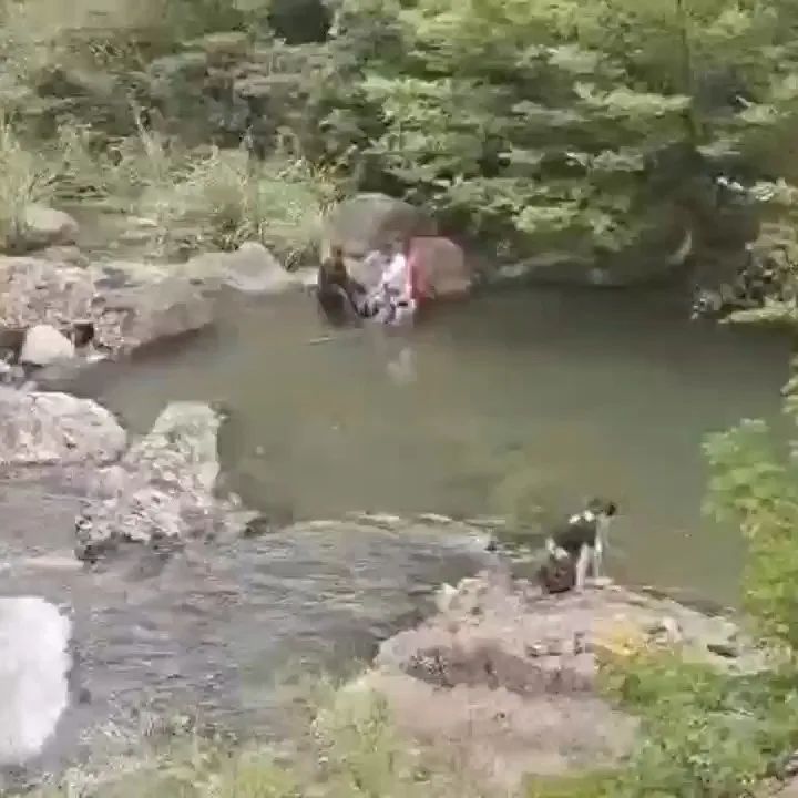 点赞热心游客!女孩景区拍照不慎落水,同行男子施救反溺水,三人下水相救 点赞热心游客!女孩景区拍照不慎落水,同行男子施救反溺水,三人下水相救