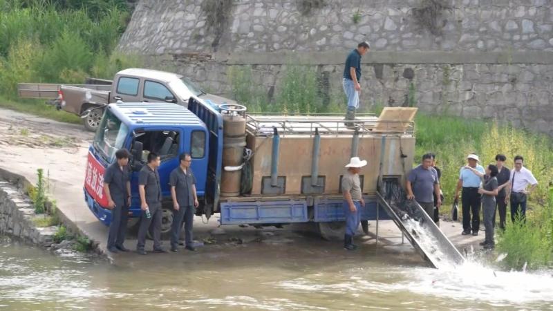 赣湘鄂皖四省跨区域增殖放流 向长江投放鱼苗5万尾 赣湘鄂皖四省跨区域增殖放流 向长江投放鱼苗5万尾