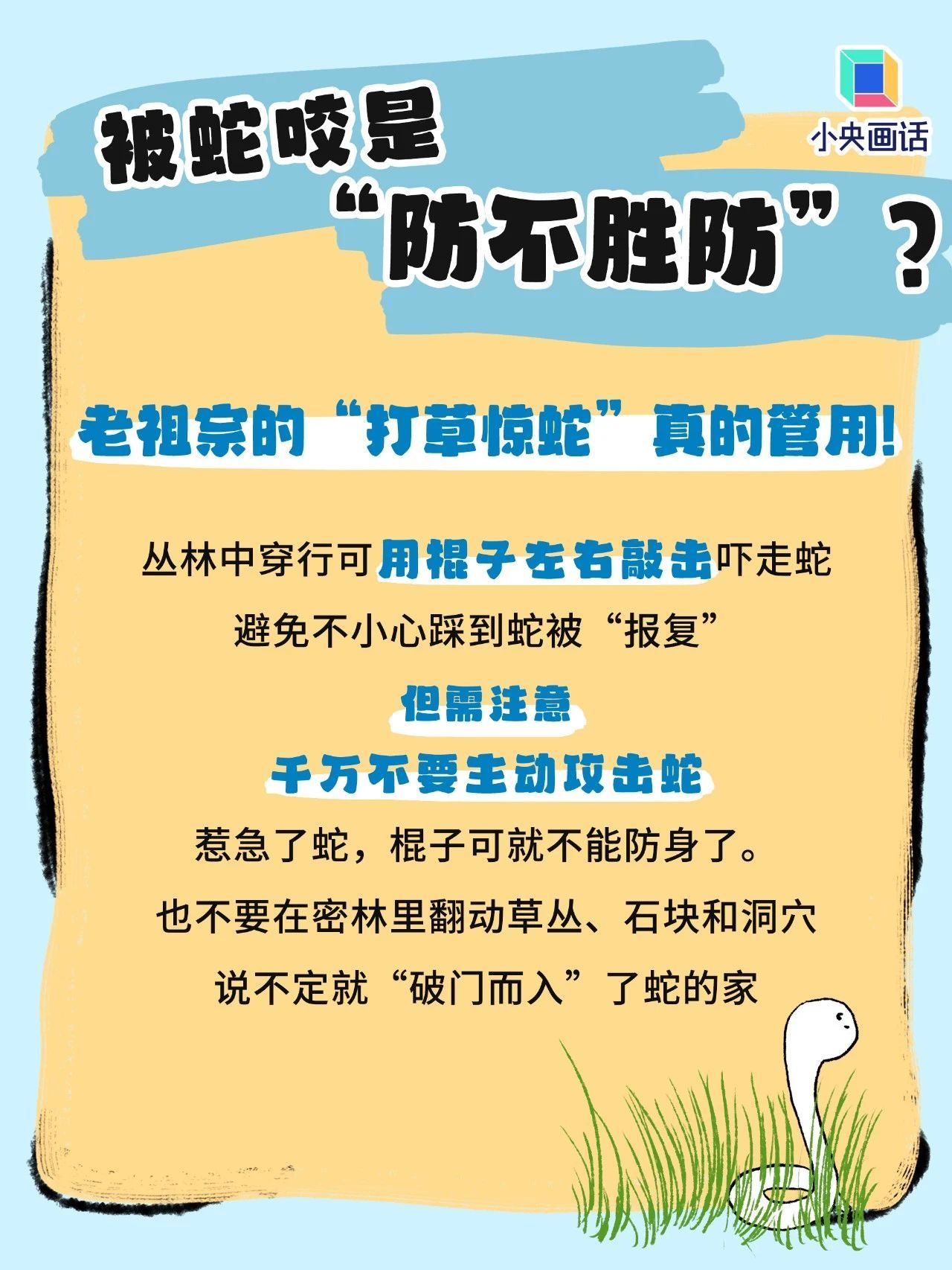如果不幸被蛇咬了,千万别学影视剧里那一套 如果不幸被蛇咬了,千万别学影视剧里那一套
