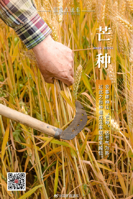 诗句中的24节气:今日芒种 诗句中的24节气:今日芒种