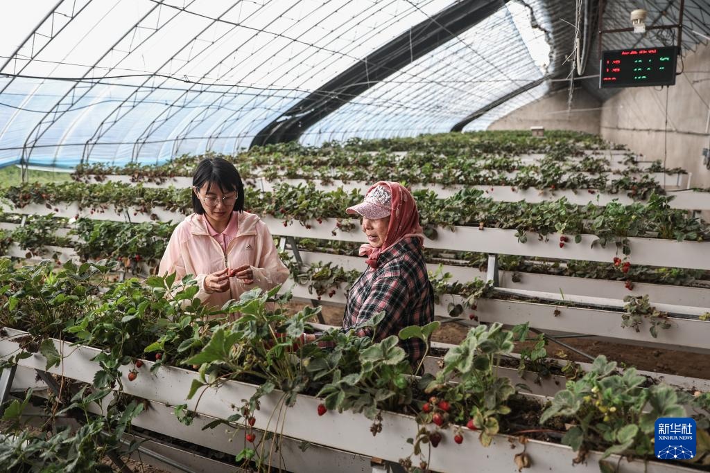 父女两代人见证沙地披绿装 父女两代人见证沙地披绿装