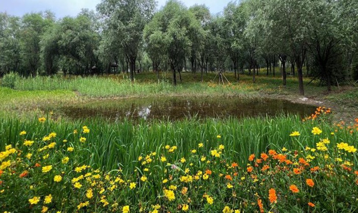 生态持续向好 北京陆生野生动物增至620种 生态持续向好 北京陆生野生动物增至620种