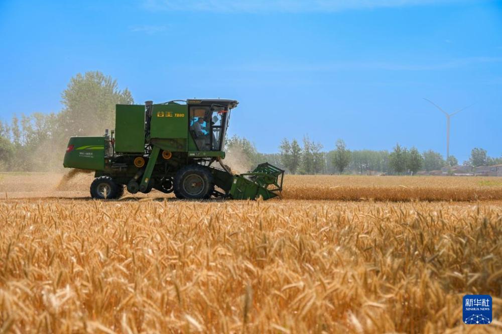 时雨及芒种 四野皆插秧 时雨及芒种 四野皆插秧