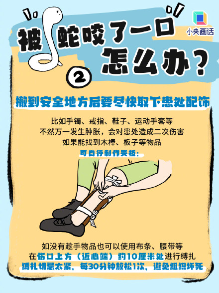 被蛇咬伤后尽量给它拍张照 被蛇咬伤后尽量给它拍张照
