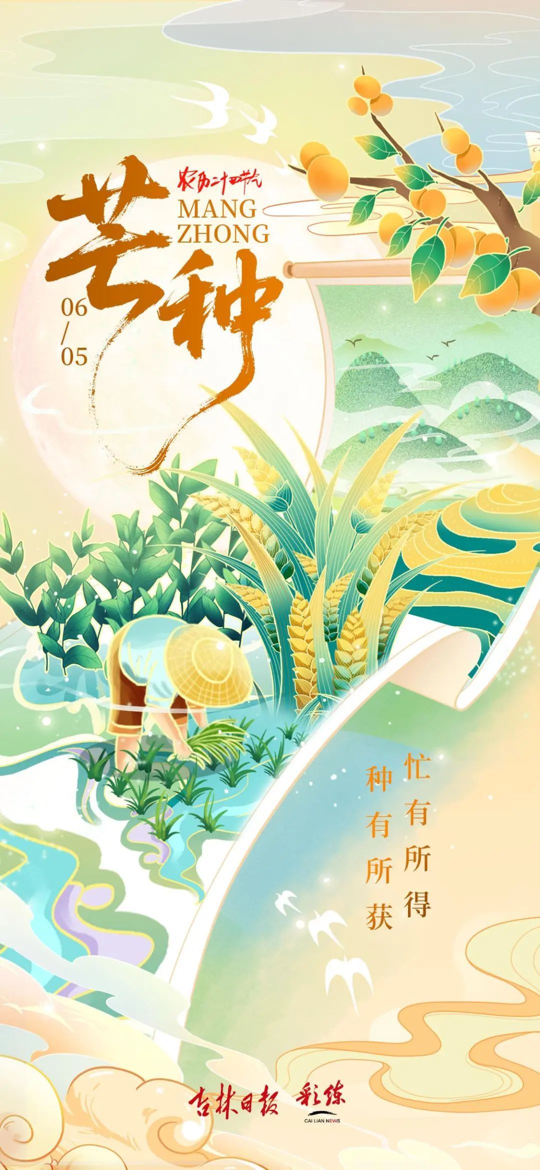 芒种:“芒”着生长,“种”下希望 芒种:“芒”着生长,“种”下希望