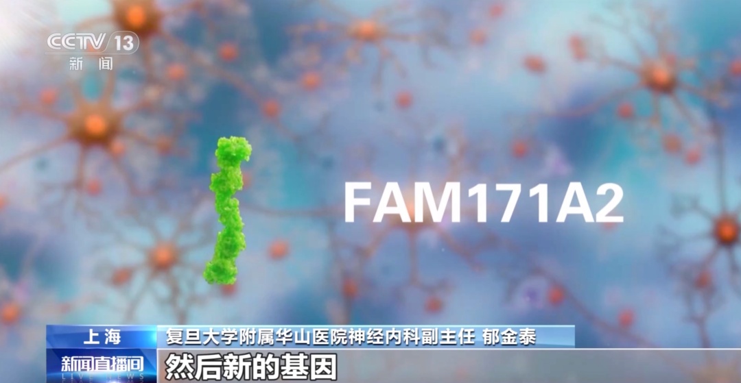 抽一次血预知百病成为现实！我国AI蛋白质研究取得一系列重大成果