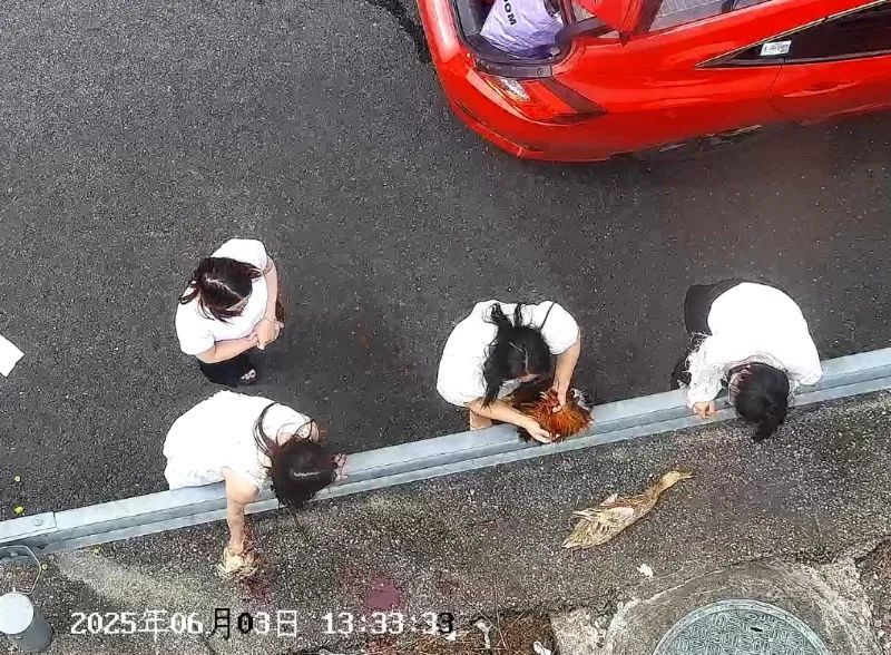 惊呆!浙江高速上有人杀鸡宰鸭,车主回应让人意外… 惊呆!浙江高速上有人杀鸡宰鸭,车主回应让人意外…