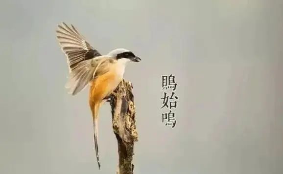 芒种 | 忙在当下,种出未来 芒种 | 忙在当下,种出未来