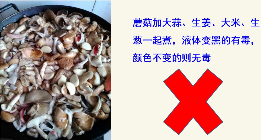 近期高发!已致47人中毒!湖南官方紧急预警 近期高发!已致47人中毒!湖南官方紧急预警