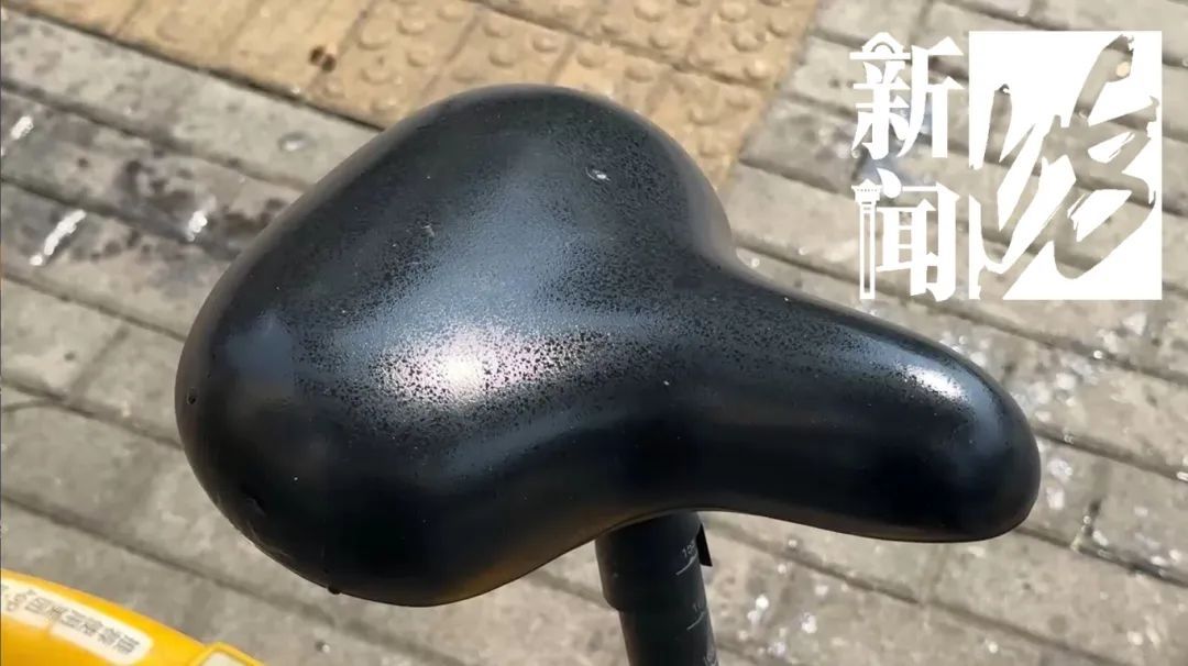 上海街头这些不明粘液是啥？目前正是高发期