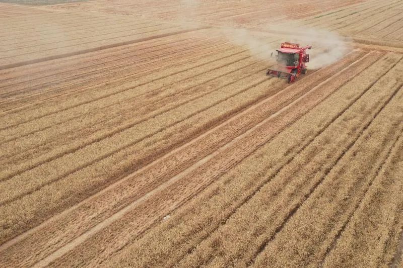 芒种 | 忙在当下,种出未来 芒种 | 忙在当下,种出未来