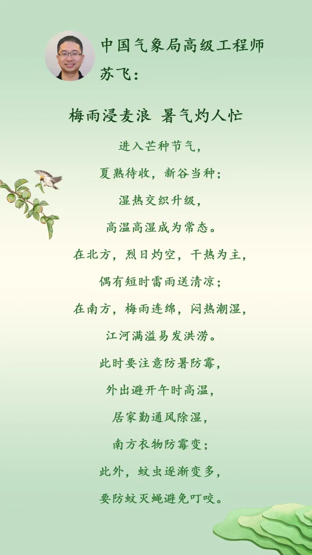 芒种|二十四节气习俗趣事与养生 芒种|二十四节气习俗趣事与养生