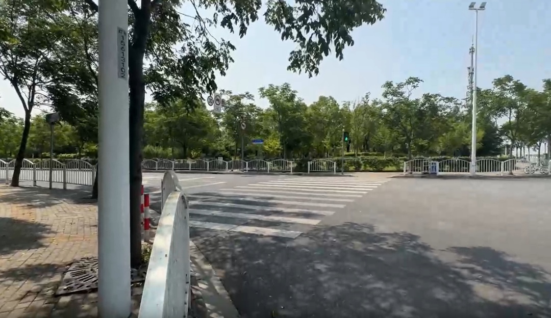 上海街头这些不明粘液是啥？目前正是高发期