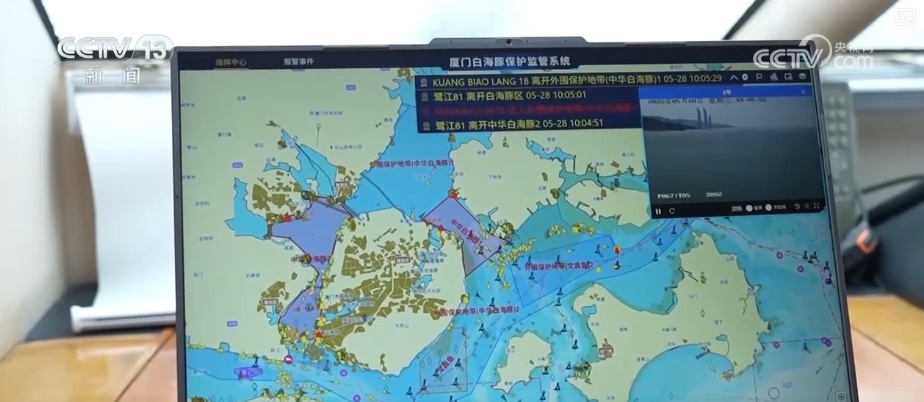 生态保护向“智”向“新” 白海豚有了高科技“保镖” 生态保护向“智”向“新” 白海豚有了高科技“保镖”