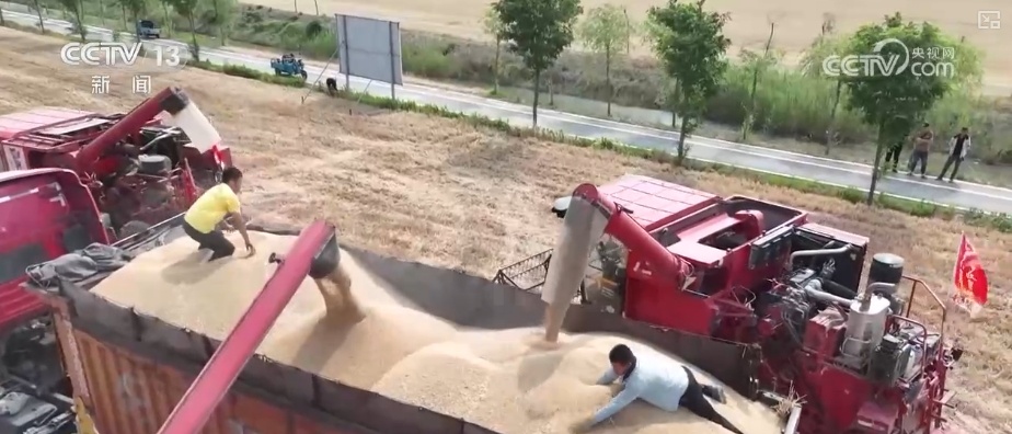 科技赋能服务“三夏”生产 “智慧种地”大显身手夯实丰收基础 科技赋能服务“三夏”生产 “智慧种地”大显身手夯实丰收基础