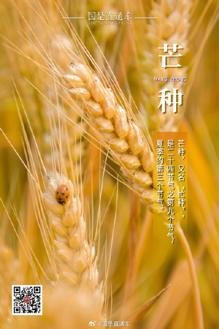 诗句中的24节气:今日芒种 诗句中的24节气:今日芒种