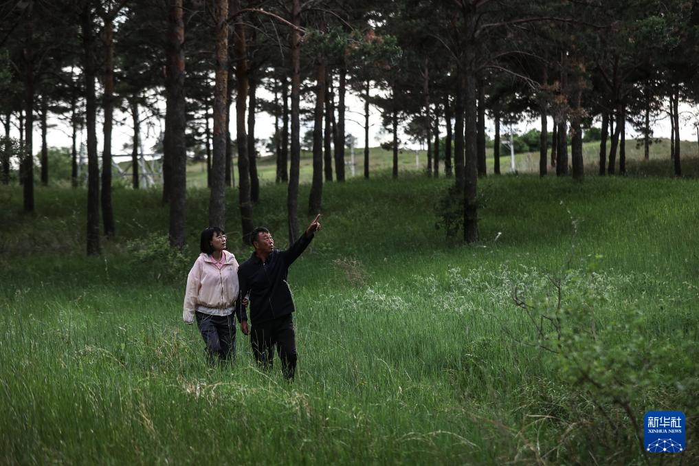 父女两代人见证沙地披绿装 父女两代人见证沙地披绿装