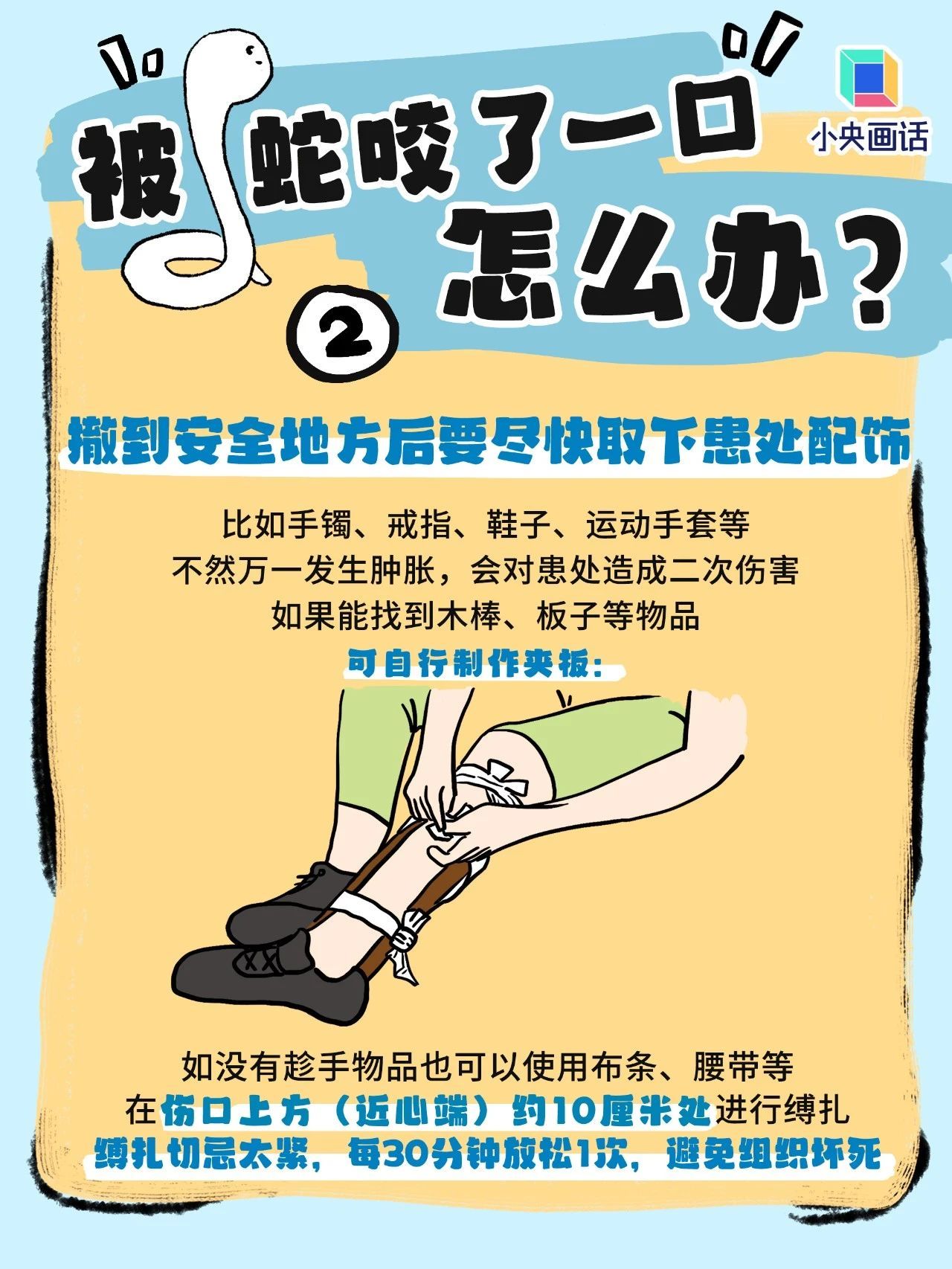 如果不幸被蛇咬了,千万别学影视剧里那一套 如果不幸被蛇咬了,千万别学影视剧里那一套