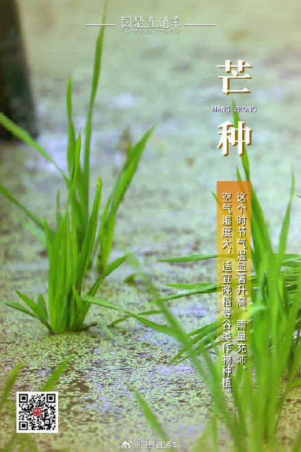 诗句中的24节气:今日芒种 诗句中的24节气:今日芒种