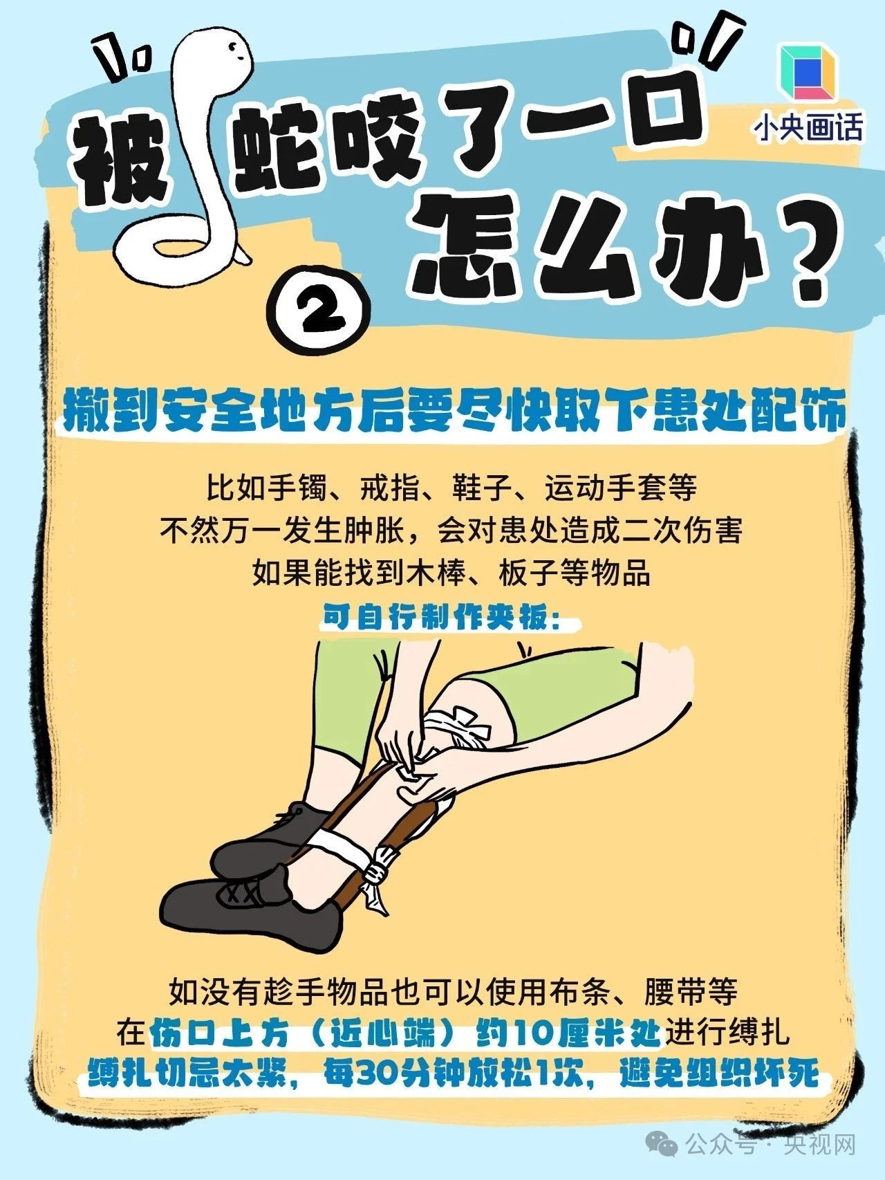 如果不幸被蛇咬了,千万别学影视剧里那一套 如果不幸被蛇咬了,千万别学影视剧里那一套