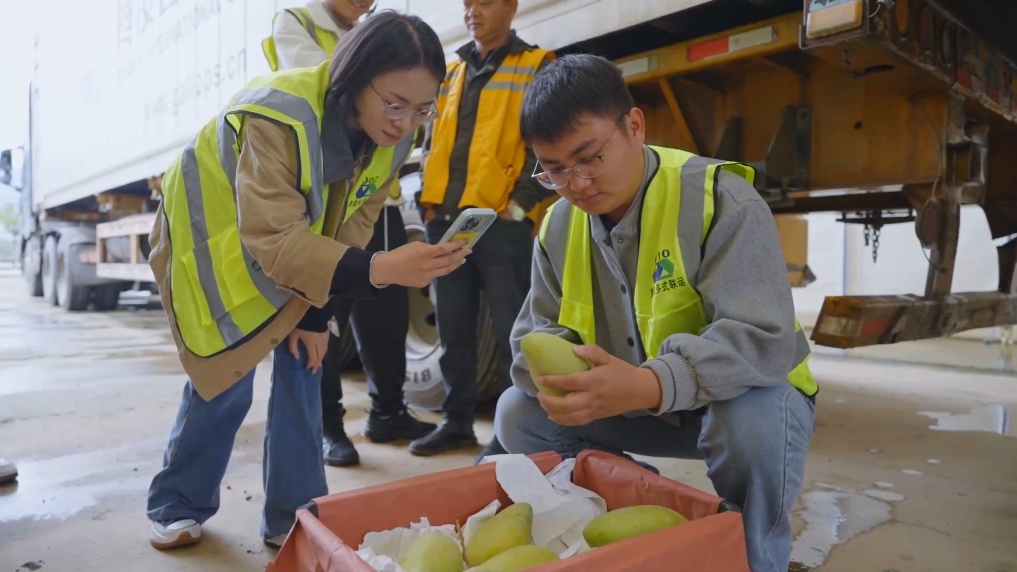 老挝鲜芒果首次搭乘“澜湄·云南号”国际货运列车抵昆 老挝鲜芒果首次搭乘“澜湄·云南号”国际货运列车抵昆