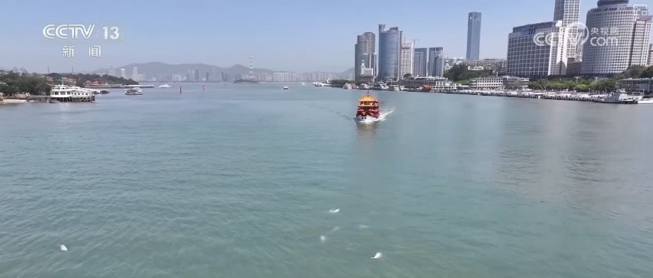 生态保护向“智”向“新” 白海豚有了高科技“保镖” 生态保护向“智”向“新” 白海豚有了高科技“保镖”