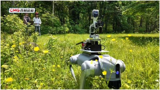 世界环境日丨东北虎豹栖息地巡检有“技”巧 组合装备即将上线 世界环境日丨东北虎豹栖息地巡检有“技”巧 组合装备即将上线