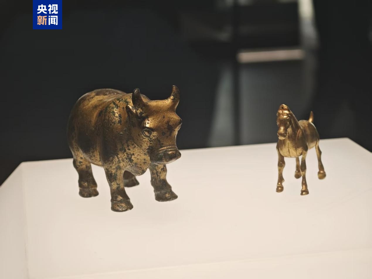 沉浸式再现中国古代都城!这座博物馆今起面向公众预约开放 沉浸式再现中国古代都城!这座博物馆今起面向公众预约开放