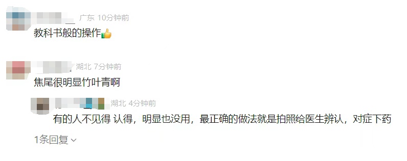 男子在东莞湖边被蛇咬伤,忍痛拍下蛇的照片…… 男子在东莞湖边被蛇咬伤,忍痛拍下蛇的照片……