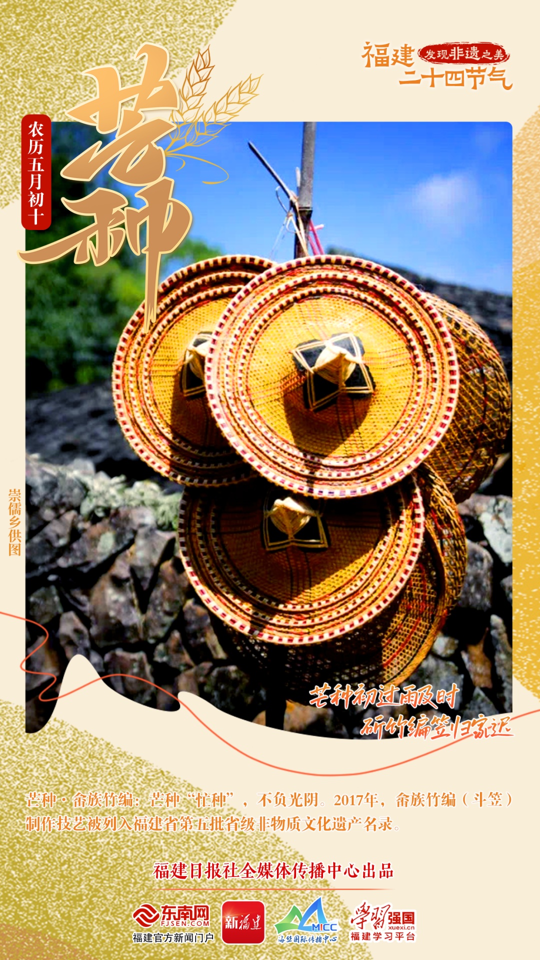 “芒”有所获,“种”有所得 “芒”有所获,“种”有所得