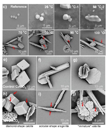 长期自己烧水喝和买桶装水喝，哪种更健康？