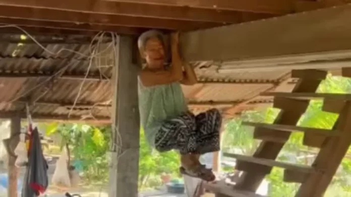 泰国80岁老太太被蛇吓到,抓住房梁跳起来避险 泰国80岁老太太被蛇吓到,抓住房梁跳起来避险