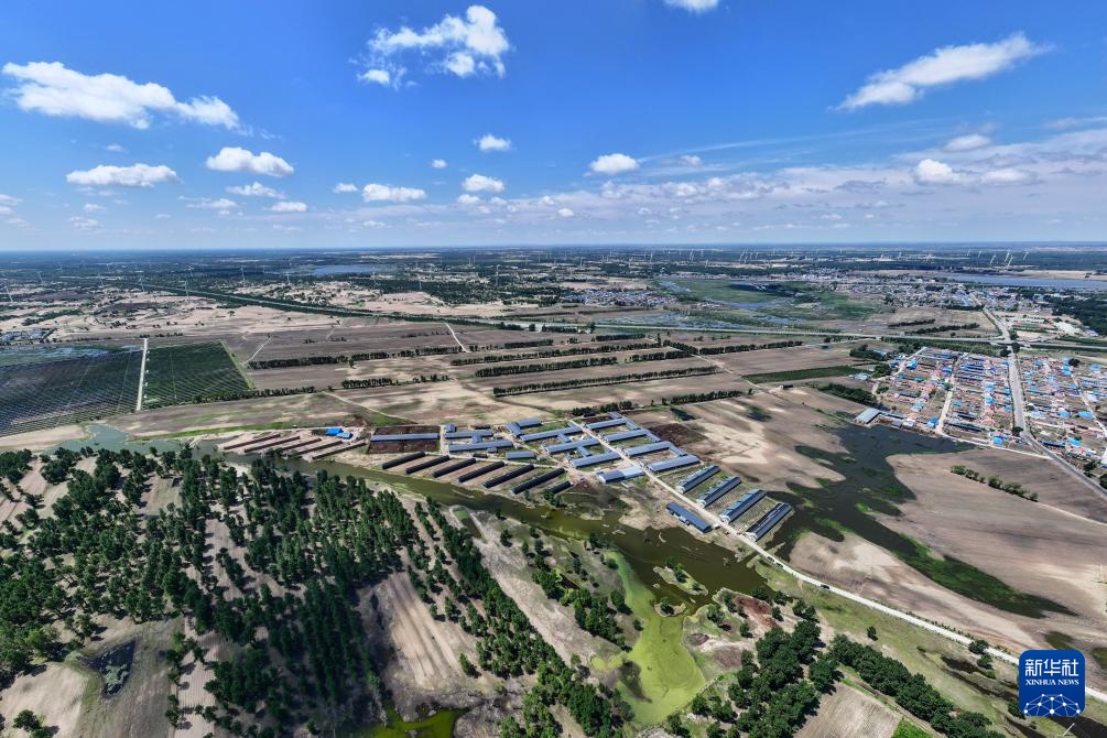 父女两代人见证沙地披绿装 父女两代人见证沙地披绿装