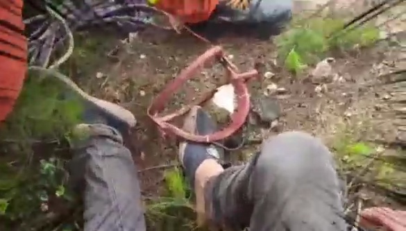 一家6口进ICU,其中5岁孩子病危!采蘑菇要提防“致命陷阱” 一家6口进ICU,其中5岁孩子病危!采蘑菇要提防“致命陷阱”