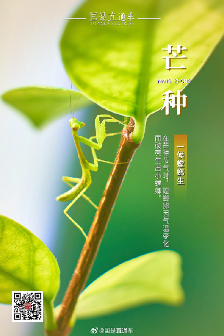 诗句中的24节气:今日芒种 诗句中的24节气:今日芒种