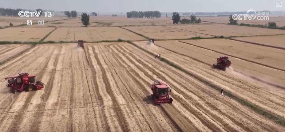 科技赋能服务“三夏”生产 “智慧种地”大显身手夯实丰收基础 科技赋能服务“三夏”生产 “智慧种地”大显身手夯实丰收基础