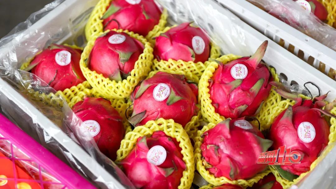 年年夏天有人中招!福州一男子误食后上吐下泻,多次晕厥!医生:有毒!或可致命! 年年夏天有人中招!福州一男子误食后上吐下泻,多次晕厥!医生:有毒!或可致命!