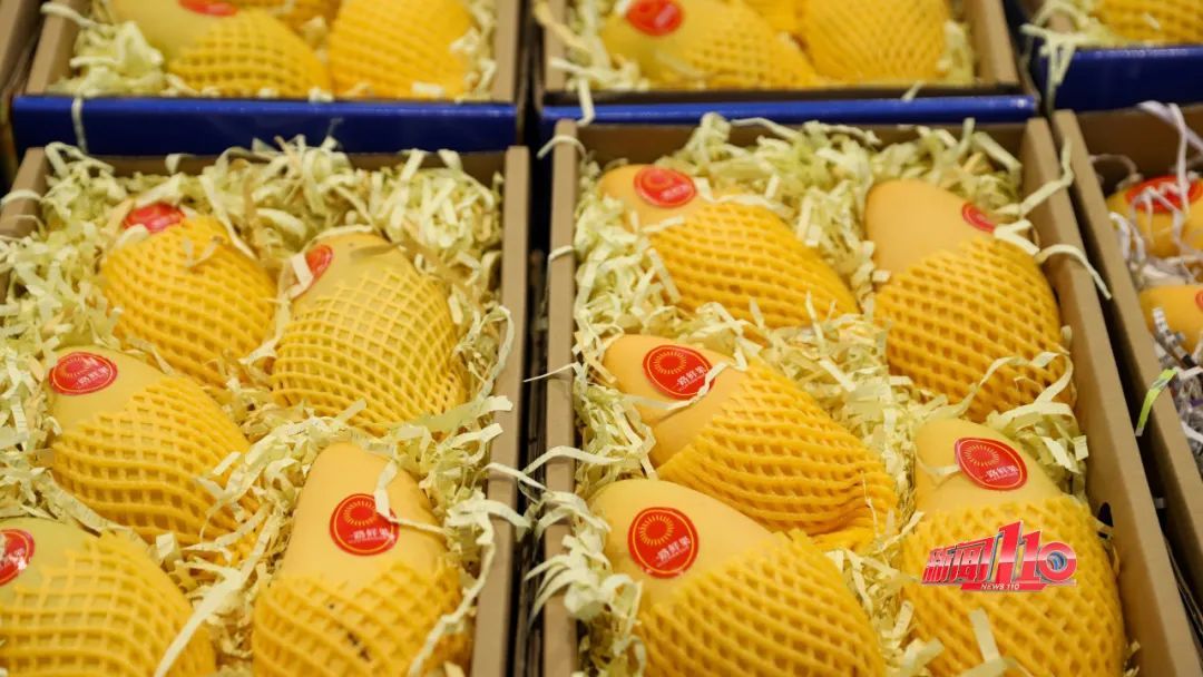 年年夏天有人中招!福州一男子误食后上吐下泻,多次晕厥!医生:有毒!或可致命! 年年夏天有人中招!福州一男子误食后上吐下泻,多次晕厥!医生:有毒!或可致命!