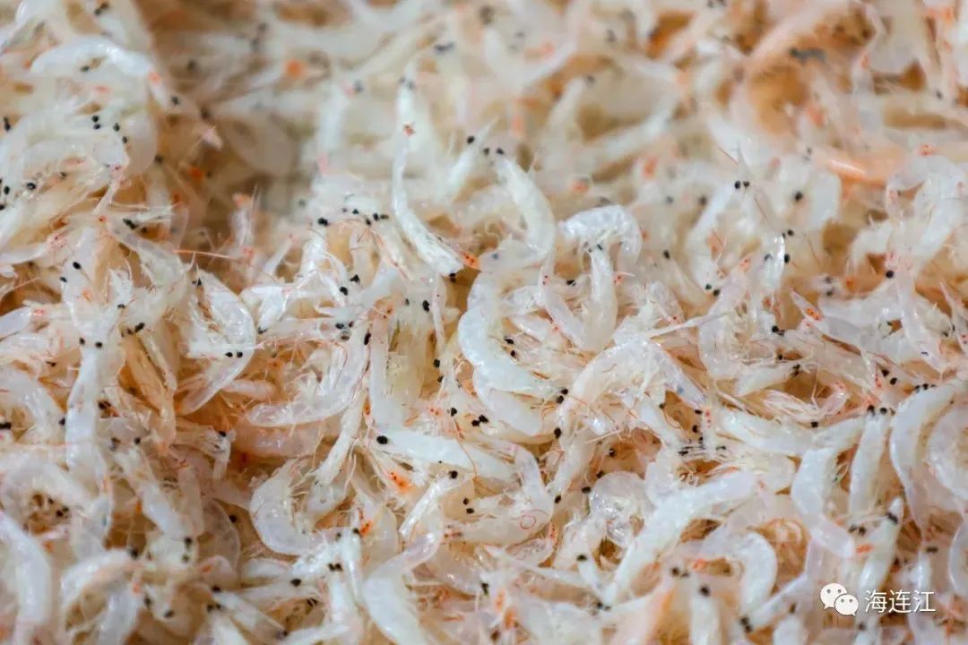 “芒”有所获,“种”有所得 “芒”有所获,“种”有所得