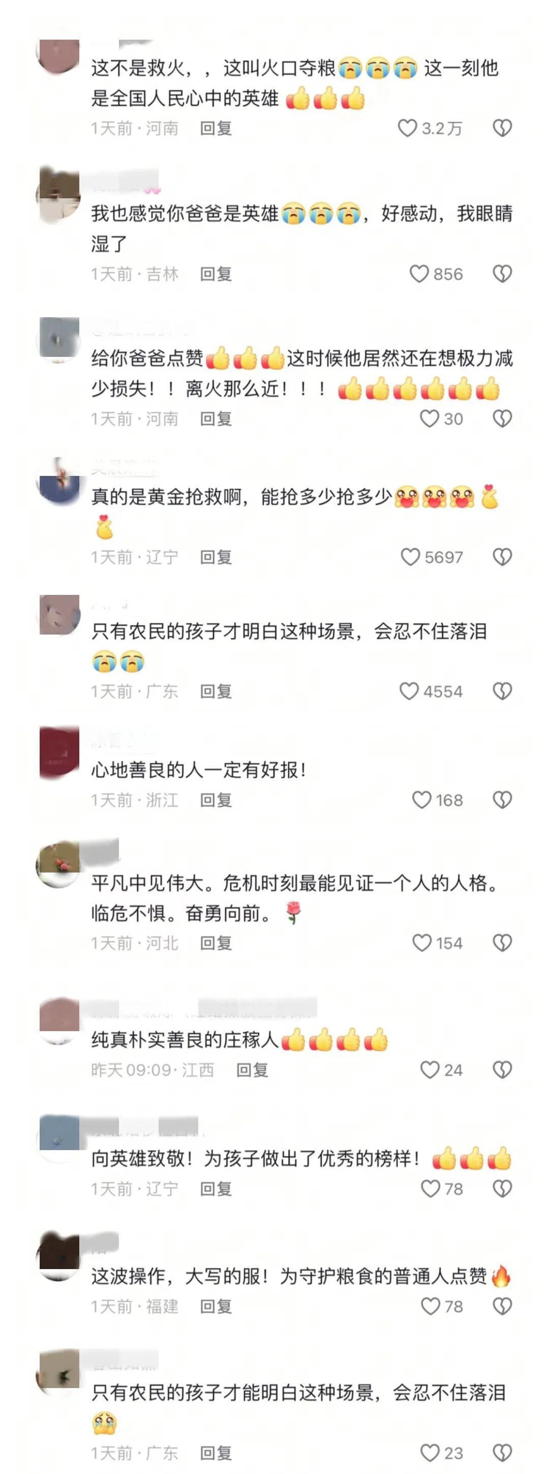 冒死冲进火海抢收麦子！他获“见义勇为”称号