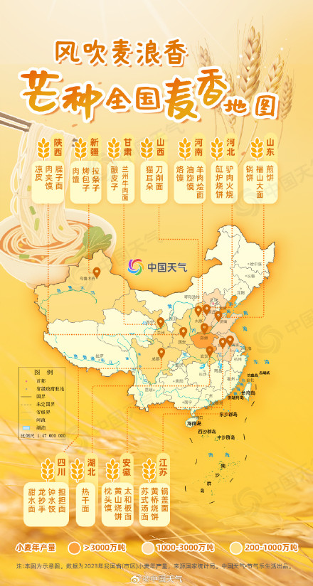 芒种麦香地图 里的烟火人间 哪碗面食戳中你的乡愁? 芒种麦香地图 里的烟火人间 哪碗面食戳中你的乡愁?