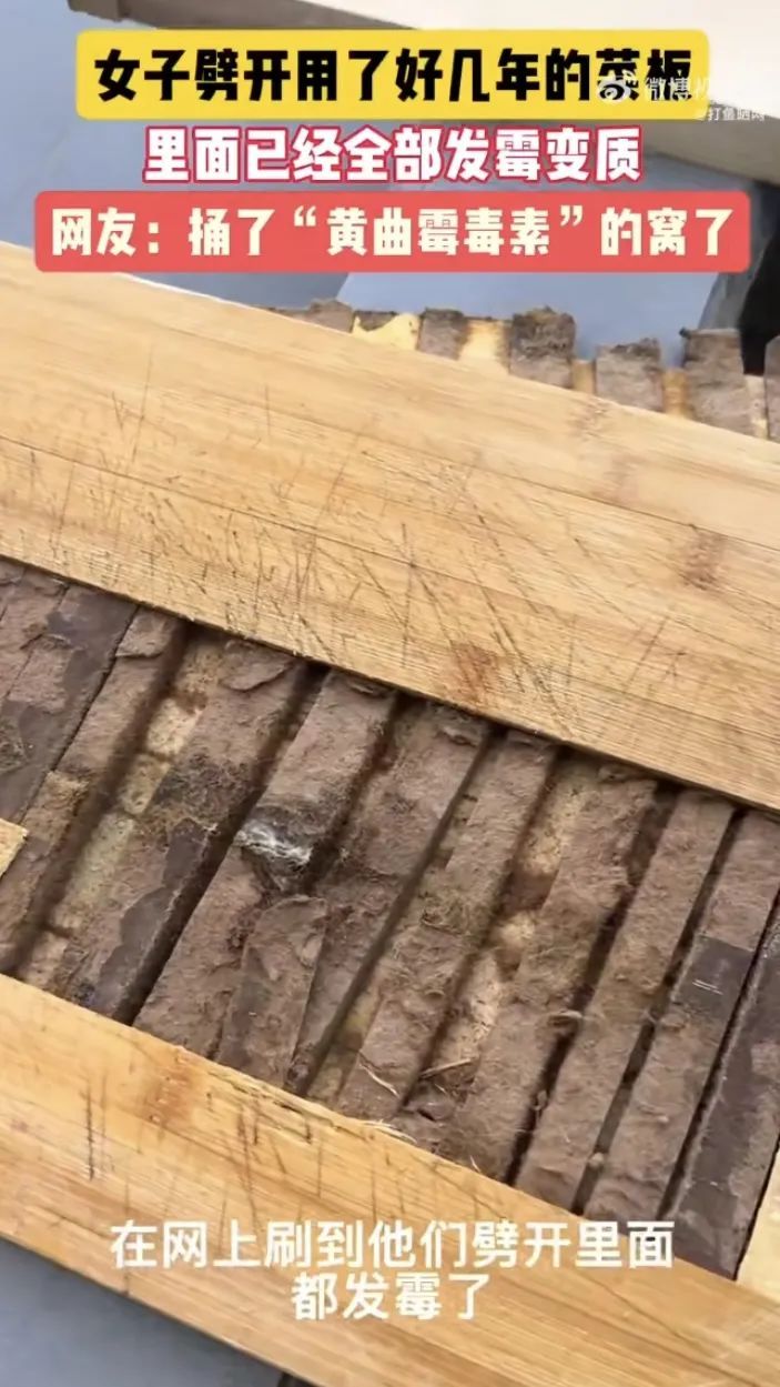 惊了!女子劈开家中菜板,里面全部发霉!赶紧自查 惊了!女子劈开家中菜板,里面全部发霉!赶紧自查