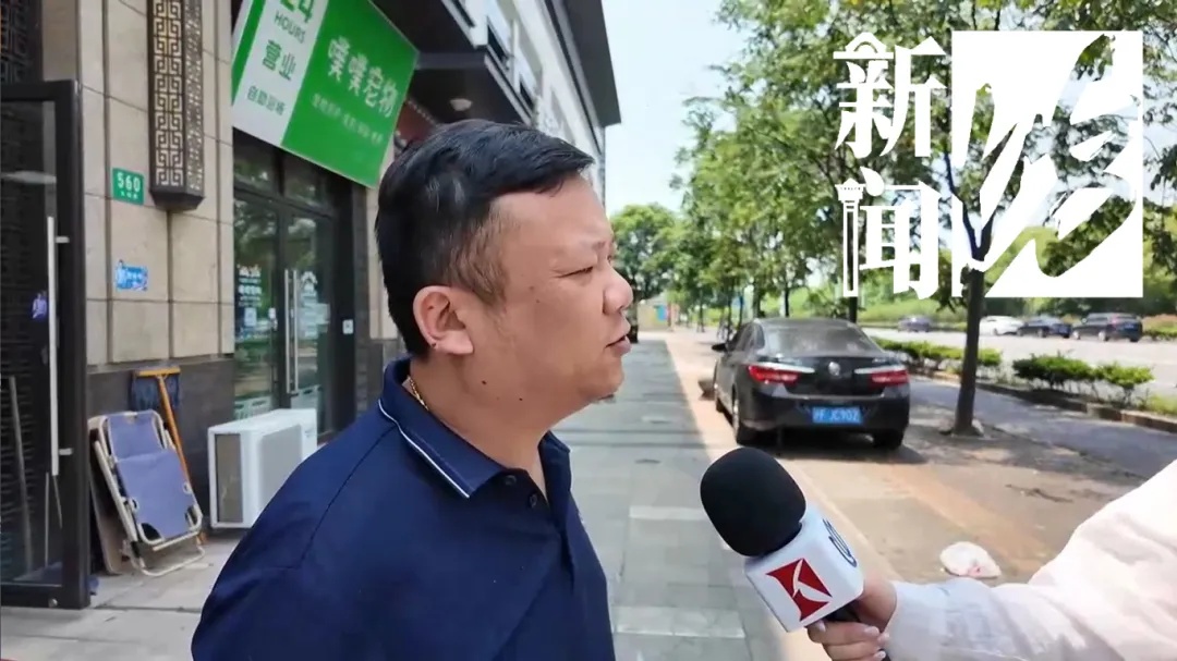 上海街头这些不明粘液是啥?目前正是高发期…… 上海街头这些不明粘液是啥?目前正是高发期……