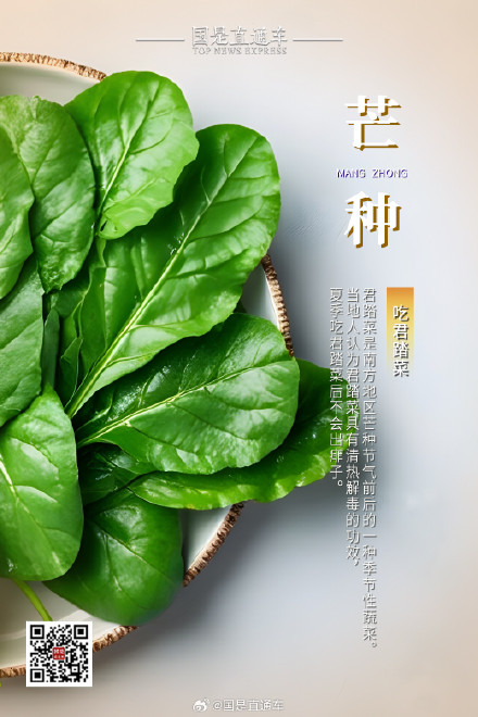 诗句中的24节气:今日芒种 诗句中的24节气:今日芒种