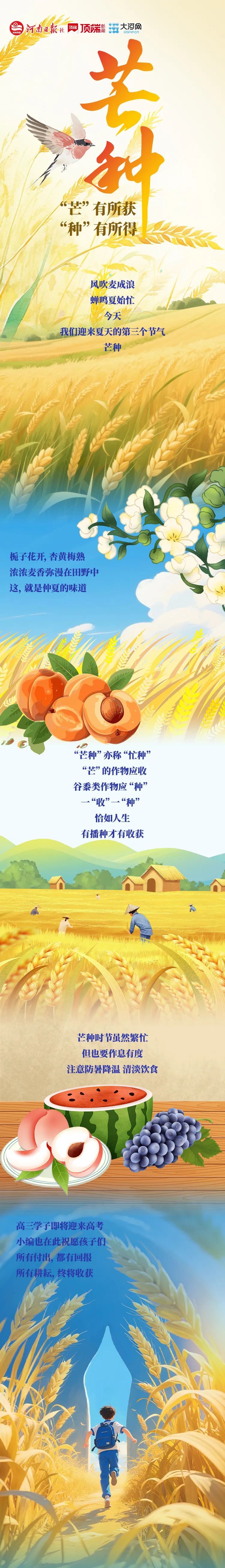 芒种丨“芒”有所获,“种”有所得 芒种丨“芒”有所获,“种”有所得