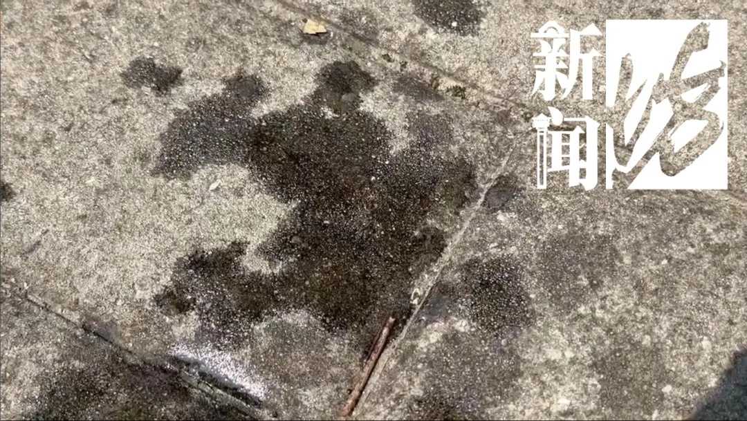 上海街头这些不明粘液是啥?目前正是高发期…… 上海街头这些不明粘液是啥?目前正是高发期……