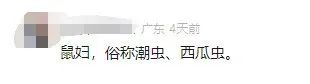 深圳邮局海关在“食品蛋糕”中查获165只活体鼠妇，网友：头皮发麻