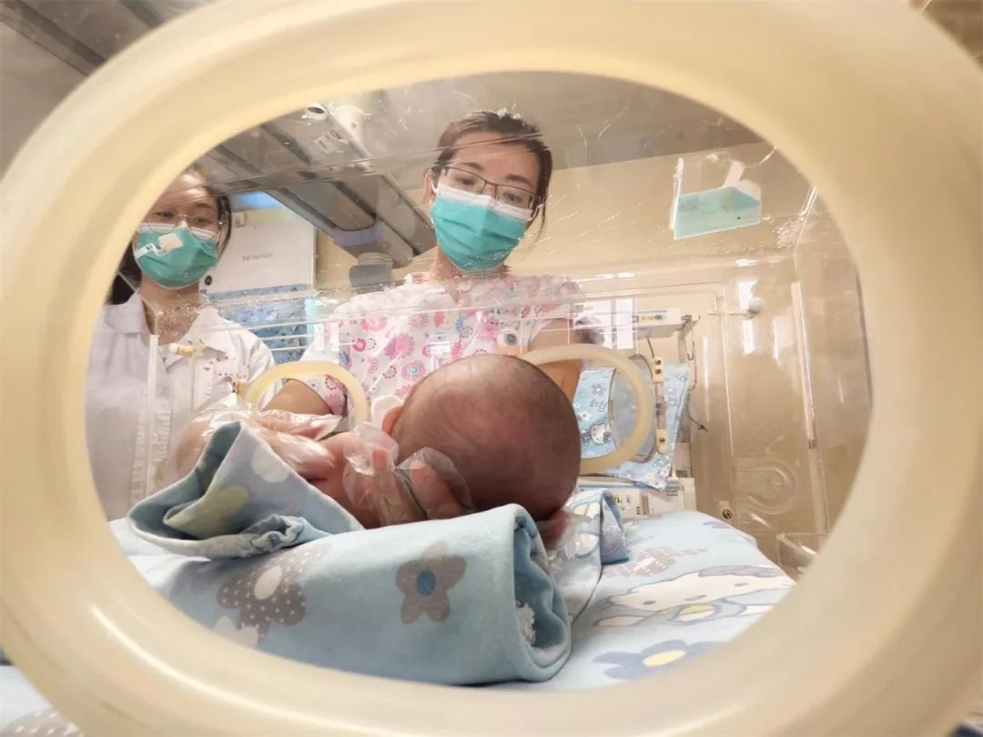 113天!490克超早产儿实现“生命逆袭” 113天!490克超早产儿实现“生命逆袭”